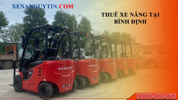 thue xe nang binh dinh