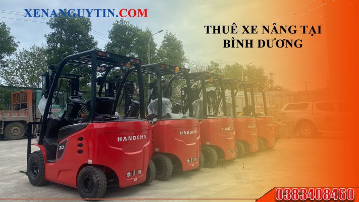 Cho thuê xe nâng tại Bình Dương