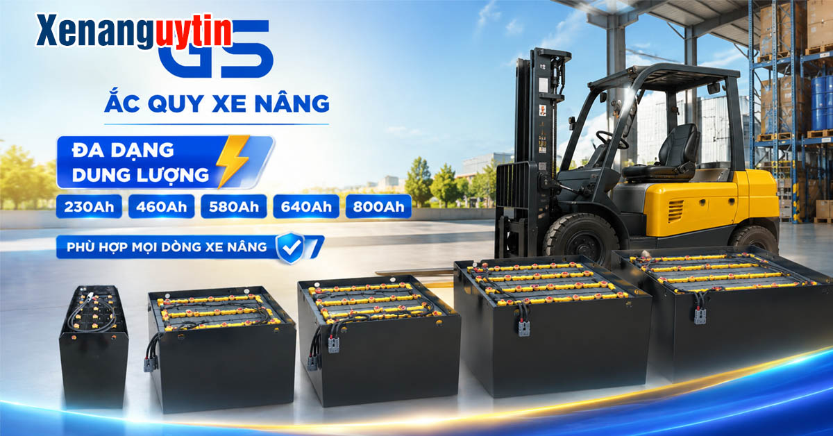 Các mẫu ắc quy xe nâng Gs