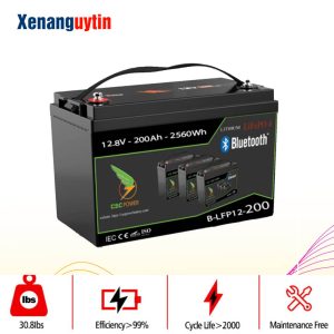 Pin lithium 12v 200ah